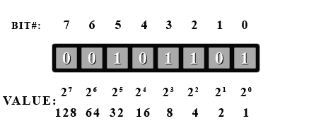 8 bit binary number